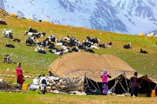 راه اندازی سامانه ثبت شکایات در صندوق بیمه روستاییان و عشایر