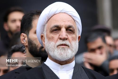 تاکید بر ظرفیت کشورهای سازمان شانگهای برای توسعه تعاملات قضایی
