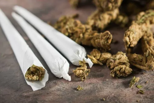 افزایش جرم در ایالت های مصرف کننده گل