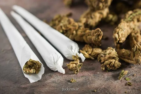 افزایش جرم در ایالت های مصرف کننده گل